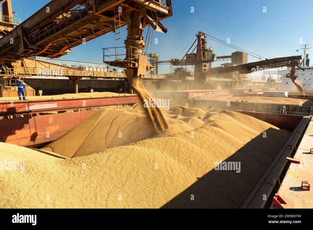 Port operations highlight the agricultural trade impact of the EU-Mercosur free trade agreement, which affects key sectors like grain export.