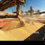 Port operations highlight the agricultural trade impact of the EU-Mercosur free trade agreement, which affects key sectors like grain export.