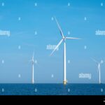 Offshore wind turbines represent the Netherlands' renewable energy ambitions, but their development faces environmental and regulatory hurdles that intersect with EU sustainability targets.